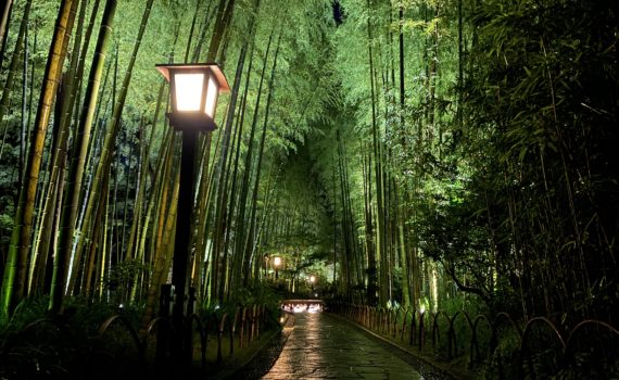 Bamboo Path：