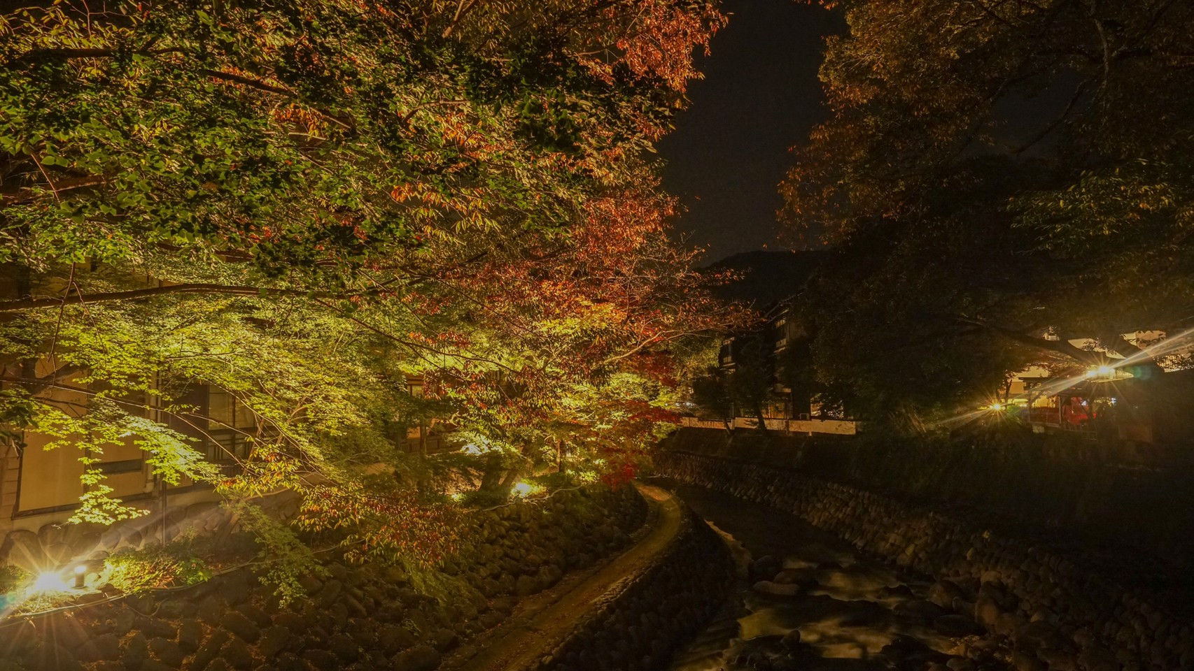 桂川⎢Katsura River